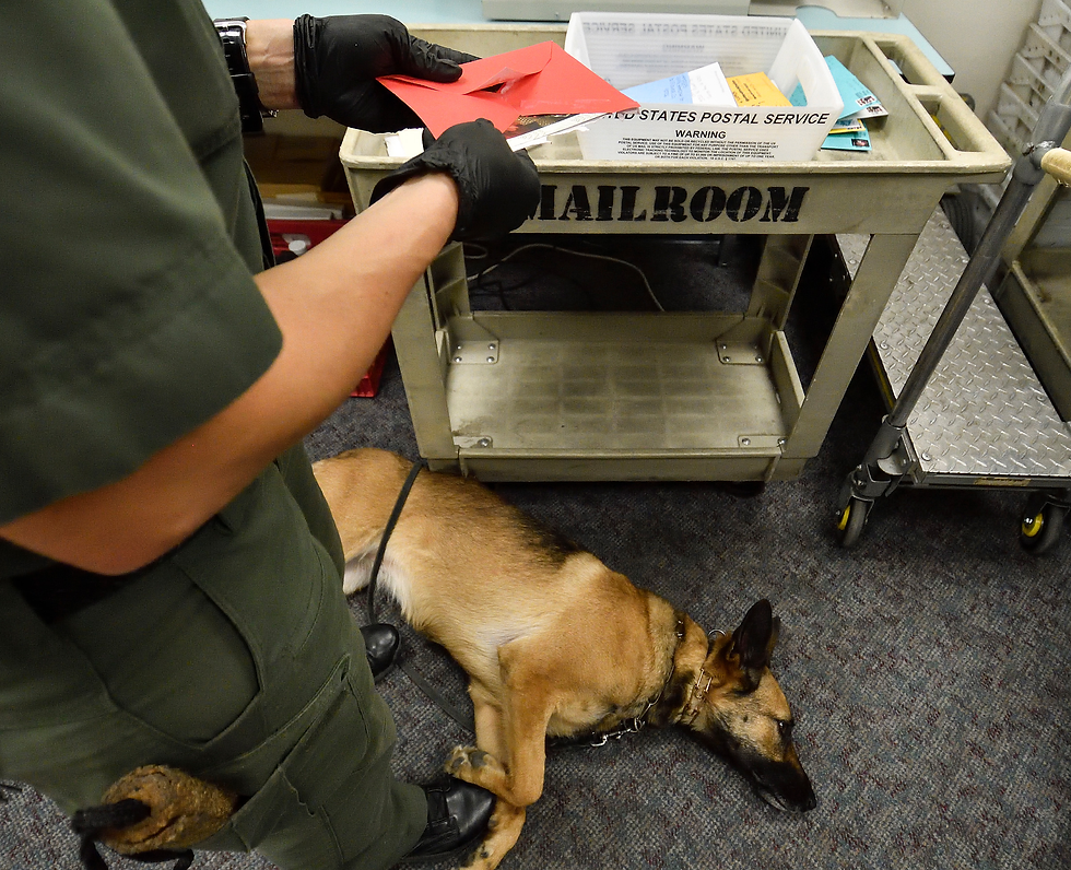 Prison Mailroom