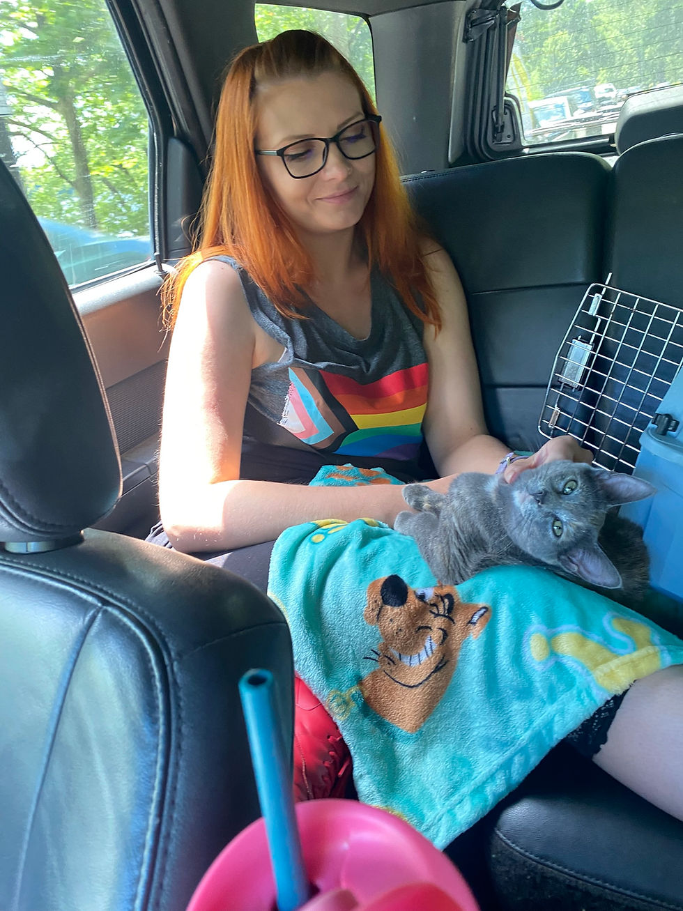 The One Where We Fell In Love In A Car 🐱💌