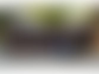 Il team di ALBA Robot