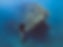 east tangat wreck.jpg