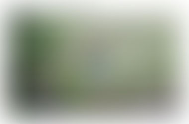 ESTE TITULO ES ATRACTIVO