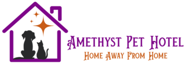 Luxury Boarding Suites All Inclusive Dogs Cats