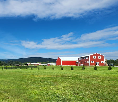 Wide View Farm.jpg