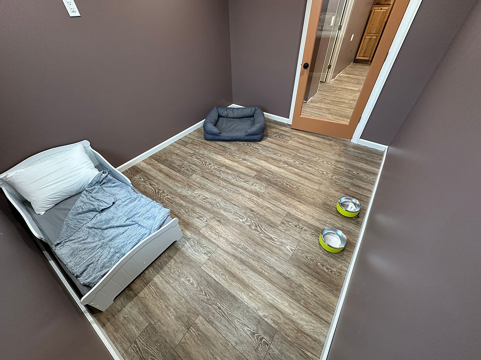 Luxury Dog Boarding Rooom