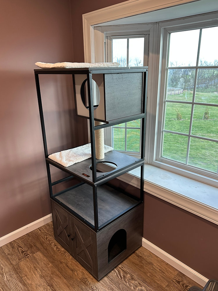 Cat Options Unique Option for Cats