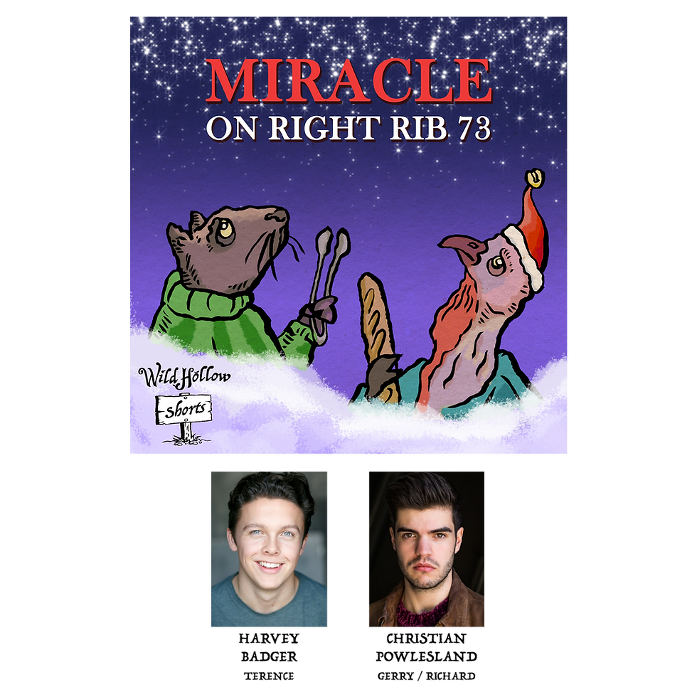 'Miracle on Right Rib 72' Cast Image & Cover Art