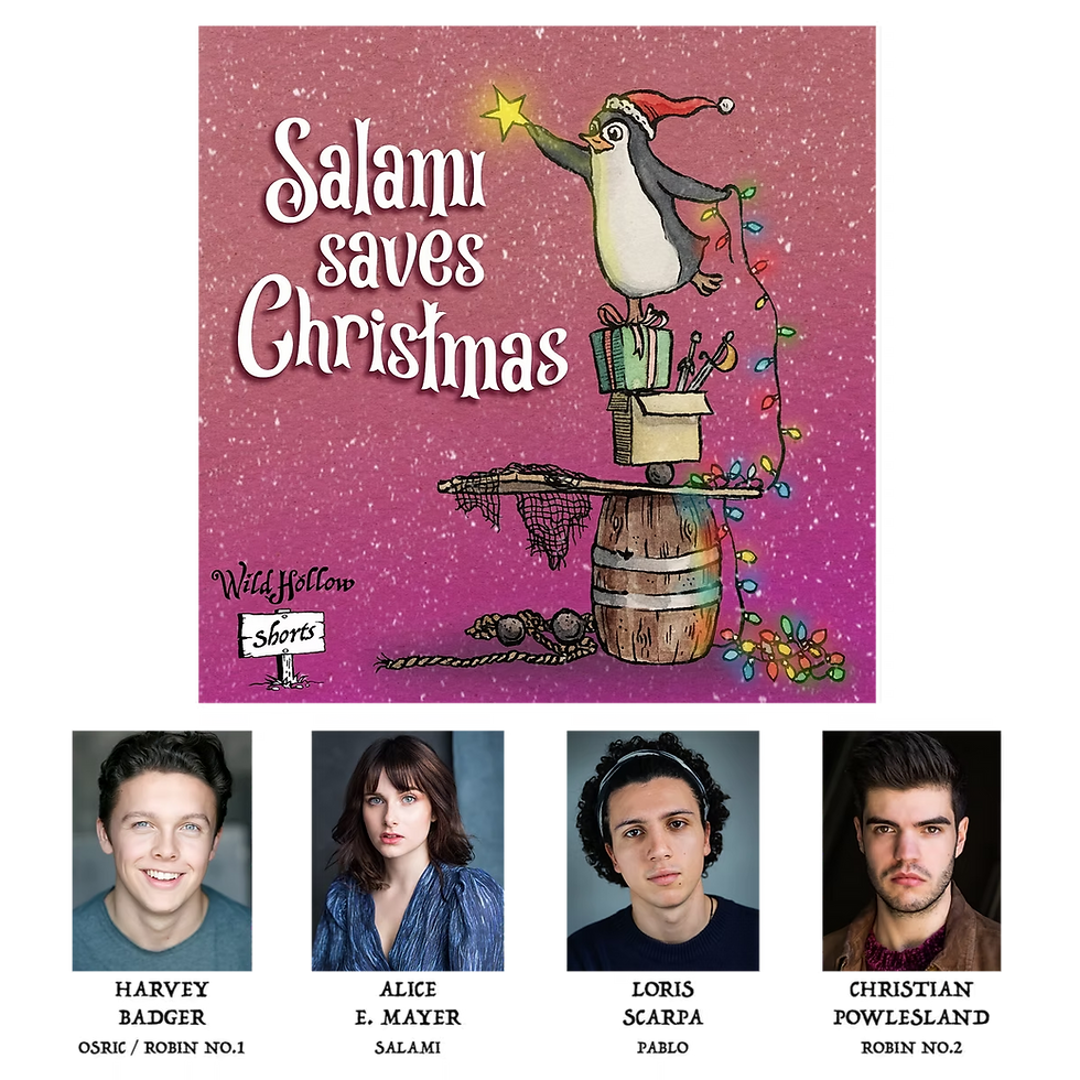 'Salami Saves Christmas' Cast Image & Cover Art