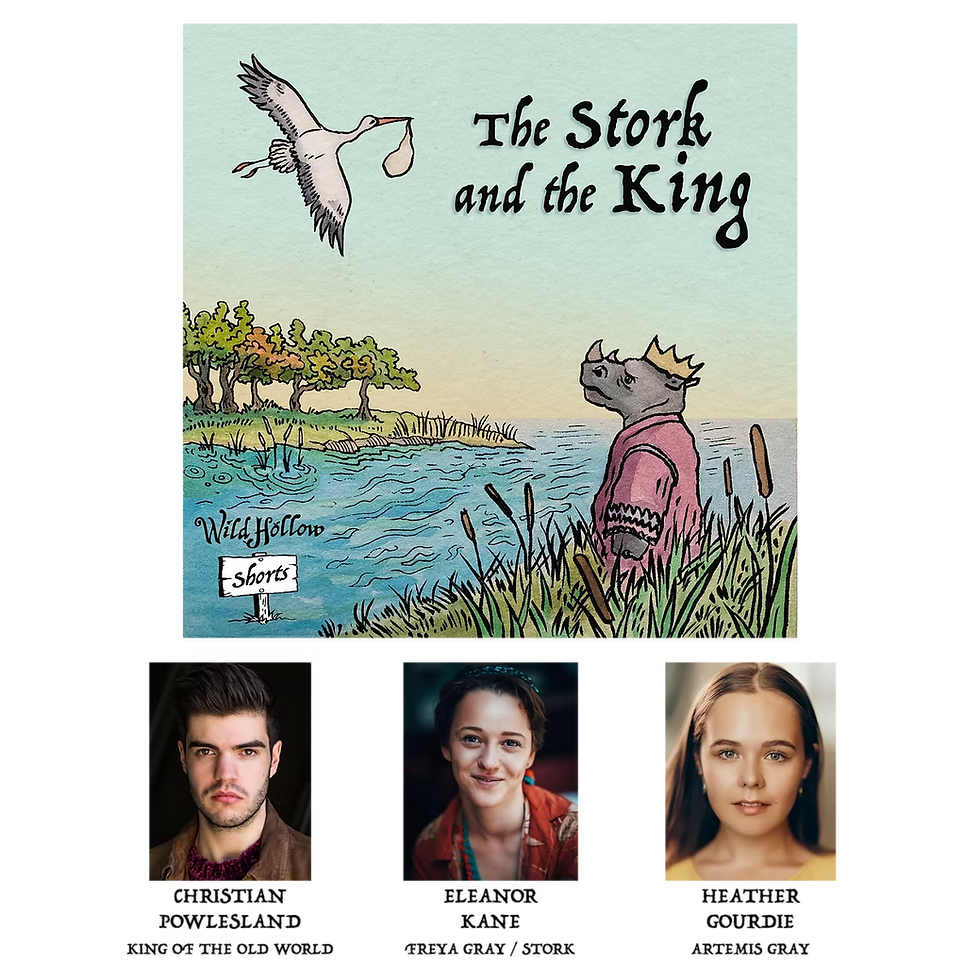 'The Stork and the King' Cast Image & Cover Art