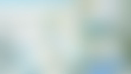 カラーアフタヌーンティーについて