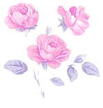 file_00000000010872099c354bf41d9c4707_ed