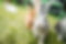 AdobeStock_272667347.jpeg
