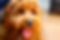 AdobeStock_175377772.jpeg