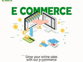 E-Commerce Advertising Dynamics: Agency vs Brand Perspectives