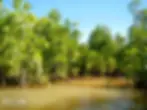 filters_quality(70) (1).webp