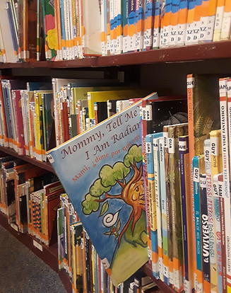 Book at Central Lib.jpg
