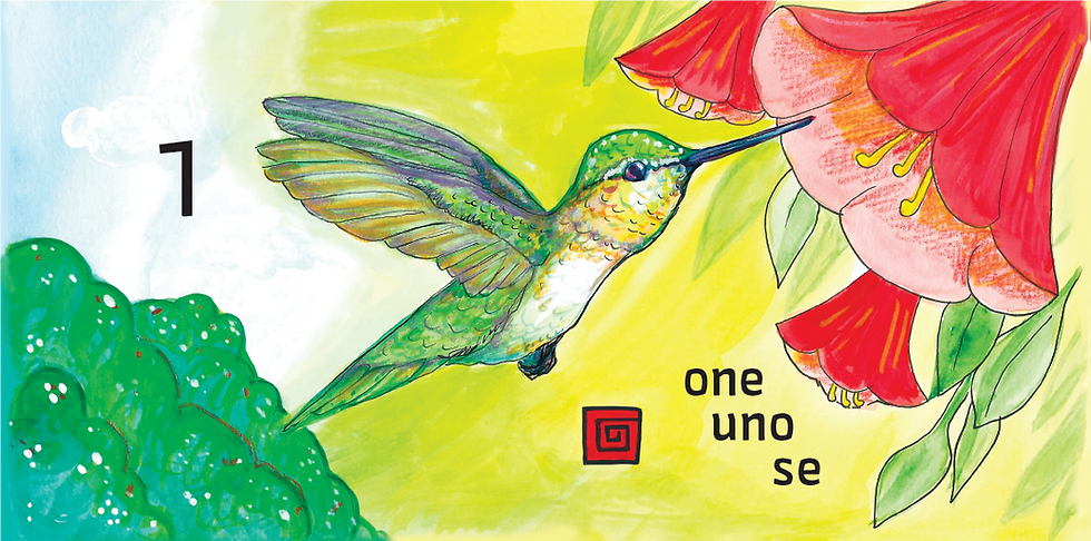 Thumbnail: Hummingbird - Colibrí - Uitsitsilij