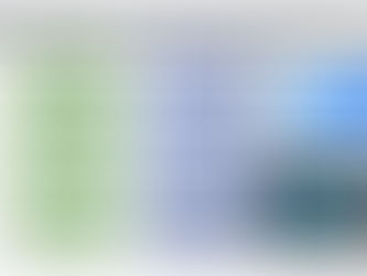 EUGERA - DEVELOPMENT SERVICE