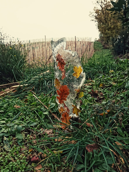 vigne glace sculpture hiver automne végétal champs art culture