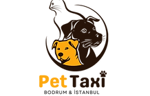 Pet taxi.png