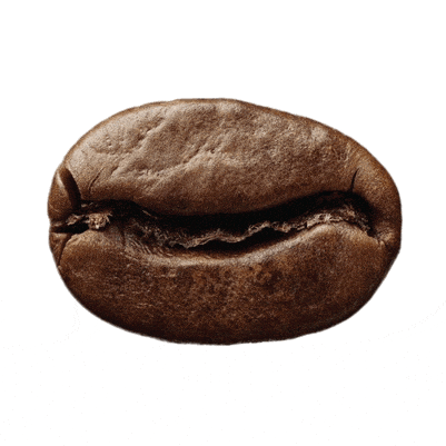 Coffee-bean.gif