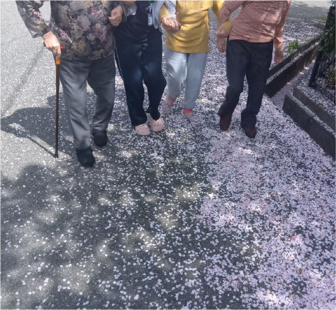 お花見 (4)