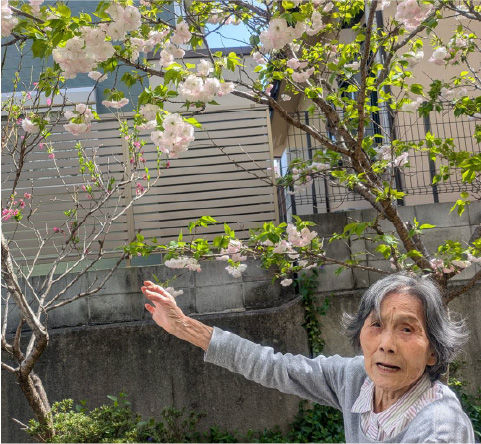 お花見 (1)