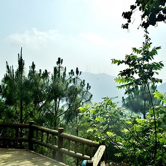 parque-ecologico-chipinque.jpeg