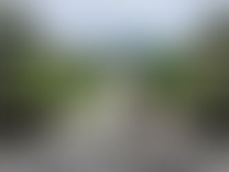 Tchaj-ťi nebo Čchi-kung?