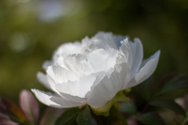 IMG_5372.png