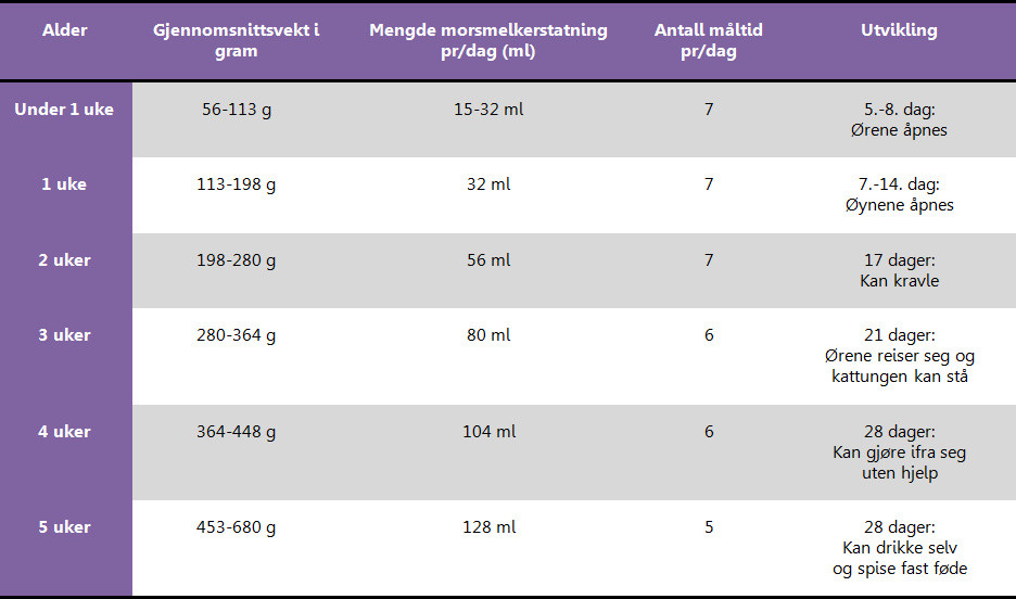 Kattungetabell