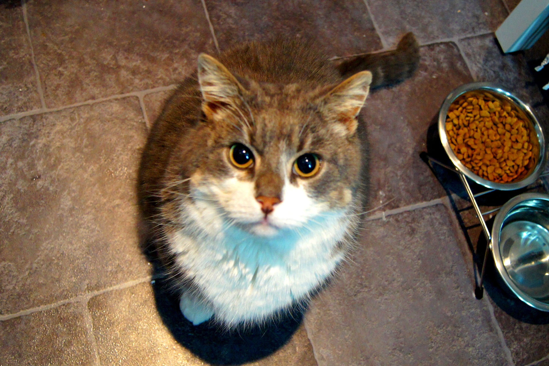 DSC03666