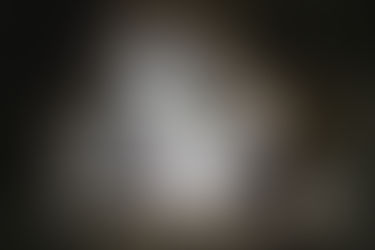 Musegift: Livsfarlig for kjæledyr