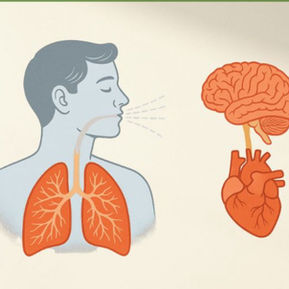 How Breathing Works as Your Brain's Personal Reset Button
