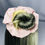 Miniature : Chouchou "Rayures rose grises "