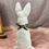 Miniature : Lapin peluche "Blanc carreaux verts"
