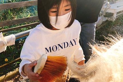 ポニーにブラシをかける子ども