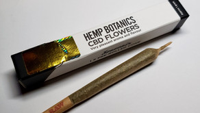 Medical Hemp: กัญชงสายพันธุ์ CBD สูง THC ต่ำ