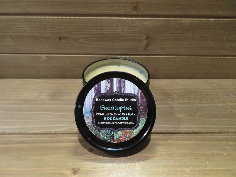 EUCALYPTUS scented beeswax candle in 6 oz