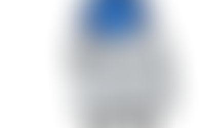 Using AI—Who is the Expert?