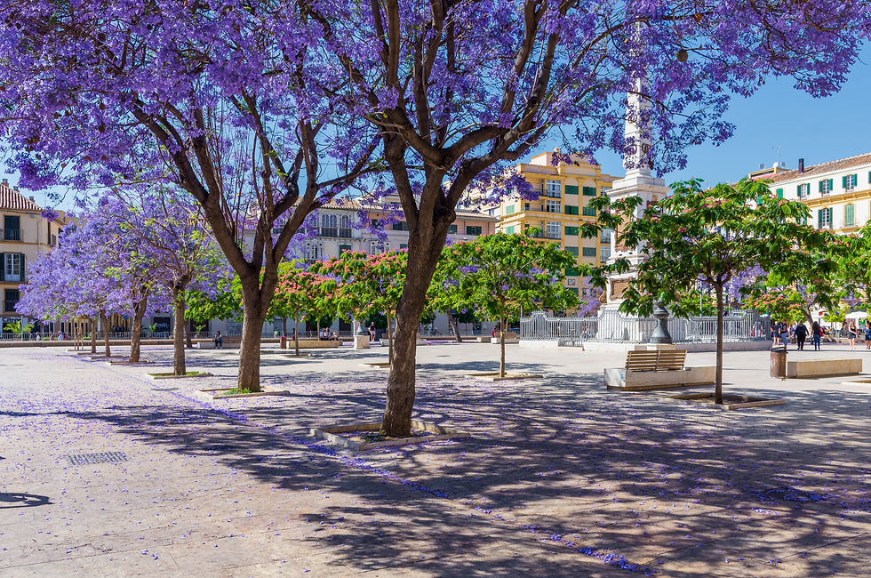 Plaza de la Merced