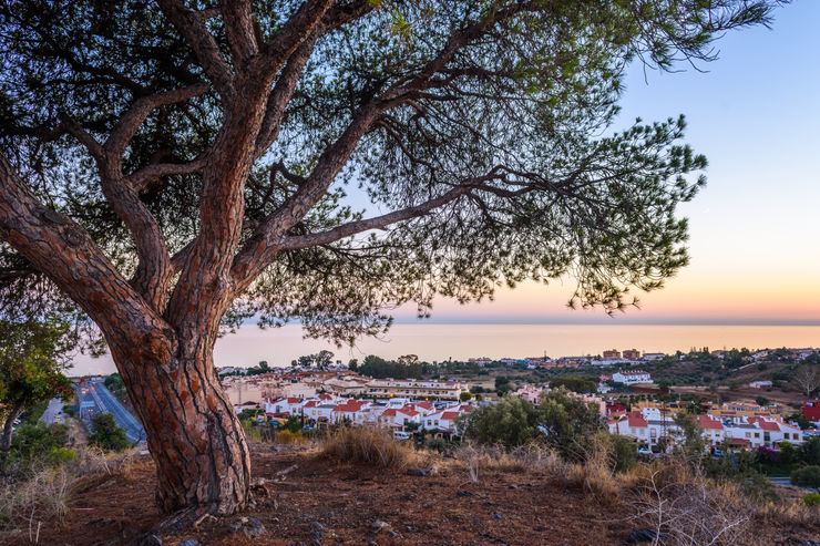 MALAGA, HASTA PRONTO...