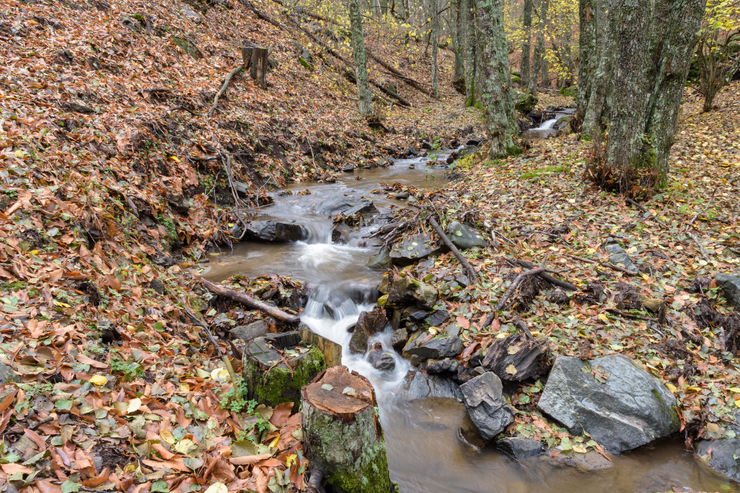 Castañar del Tiemblo