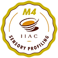 Corso IIAC Sensory Profiling (M4).