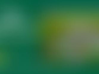 Godrej Plots Doddaballapur