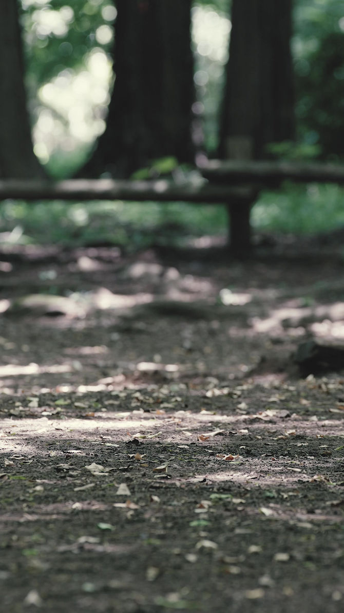 APFR × JOURNAL STANDARD FURNITURE“MELLOW FOREST”