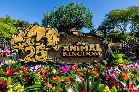 Animal-Kingdom_Full_51507.webp