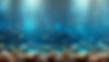 Fuzzy_Sharks_Scene-1.jpg