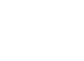 Clearwater Marine Aquarium Vert White.png