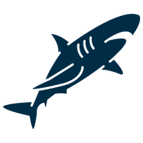 shark (1).png