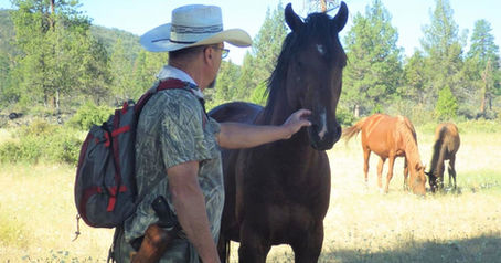 Can Wild Horses Help Prevent Wildfires in the West?